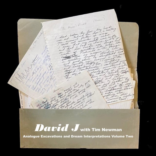 David J with Tim Newman — Analogue Excavations and Dream Interpretations Volume Two cover