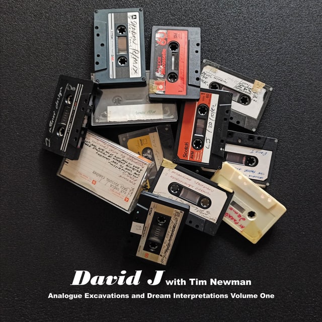 David J with Tim Newman — Analogue Excavations and Dream Interpretations Volume One cover